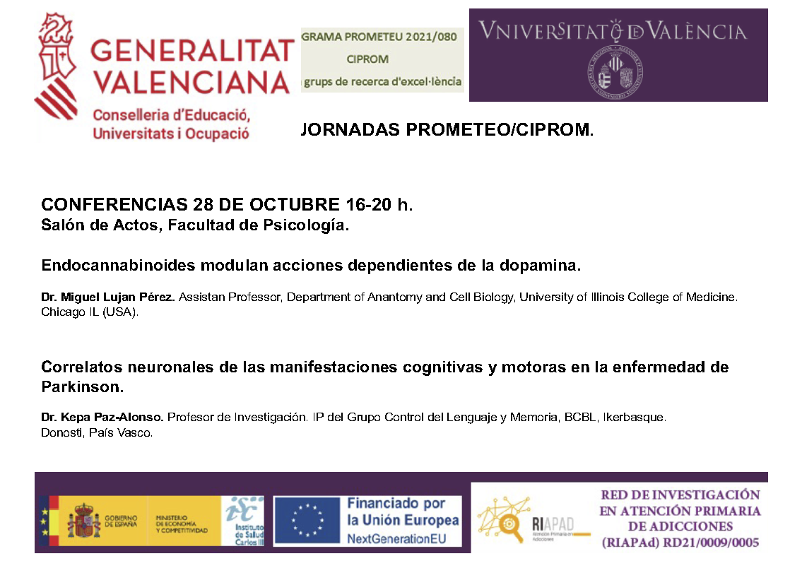 Image de la noticia